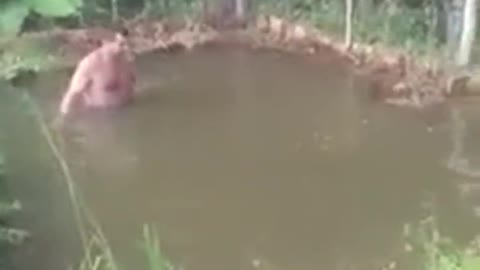 Easy Fishing
