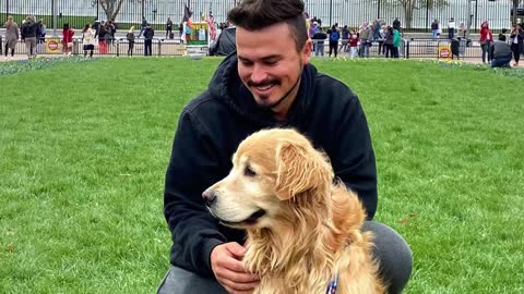 Brazilian Traveler Dies Alongside with His Beloved Dog