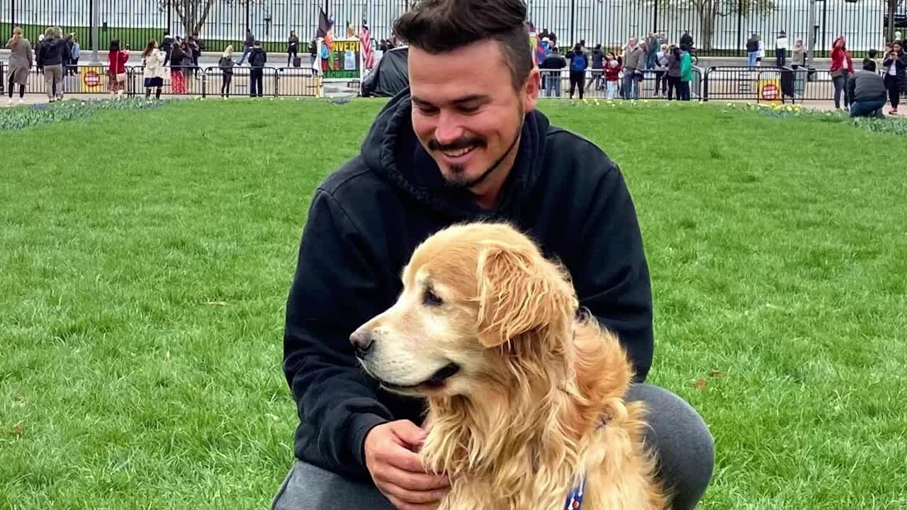 Brazilian Traveler Dies Alongside with His Beloved Dog