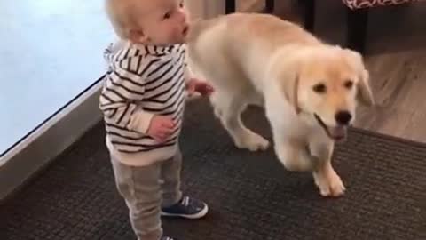 cute baby with dog