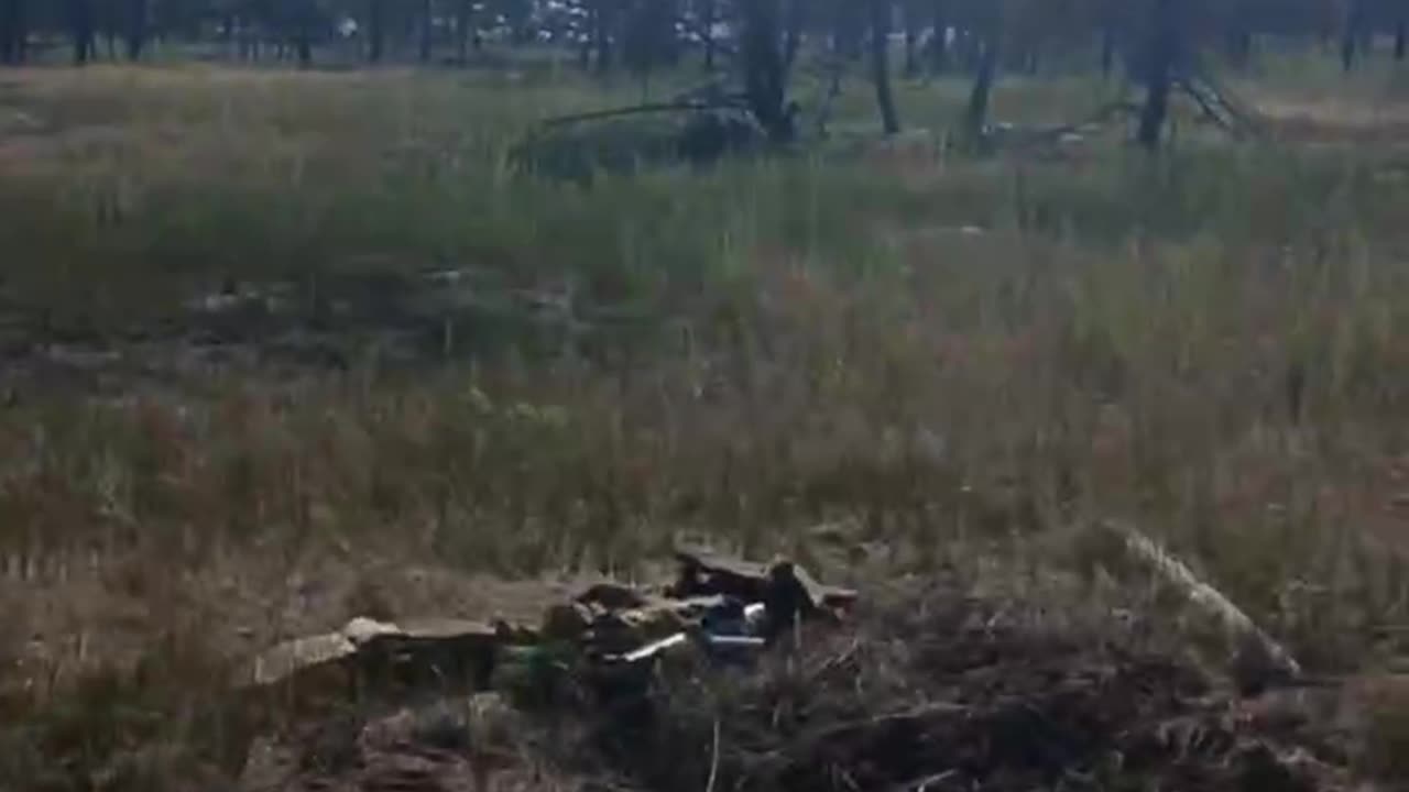 WARNING! Extremely Graphic! AFU 200 From the Failed Raid on the Kinburn Spit