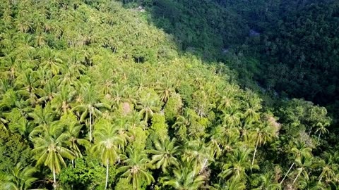 Discovery of 60-Million-Year-Old Seeds Unveils Ancient Plant Secrets