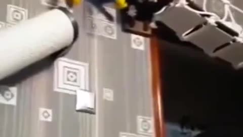 Funny Cats video 📹 😄 Fight scenes