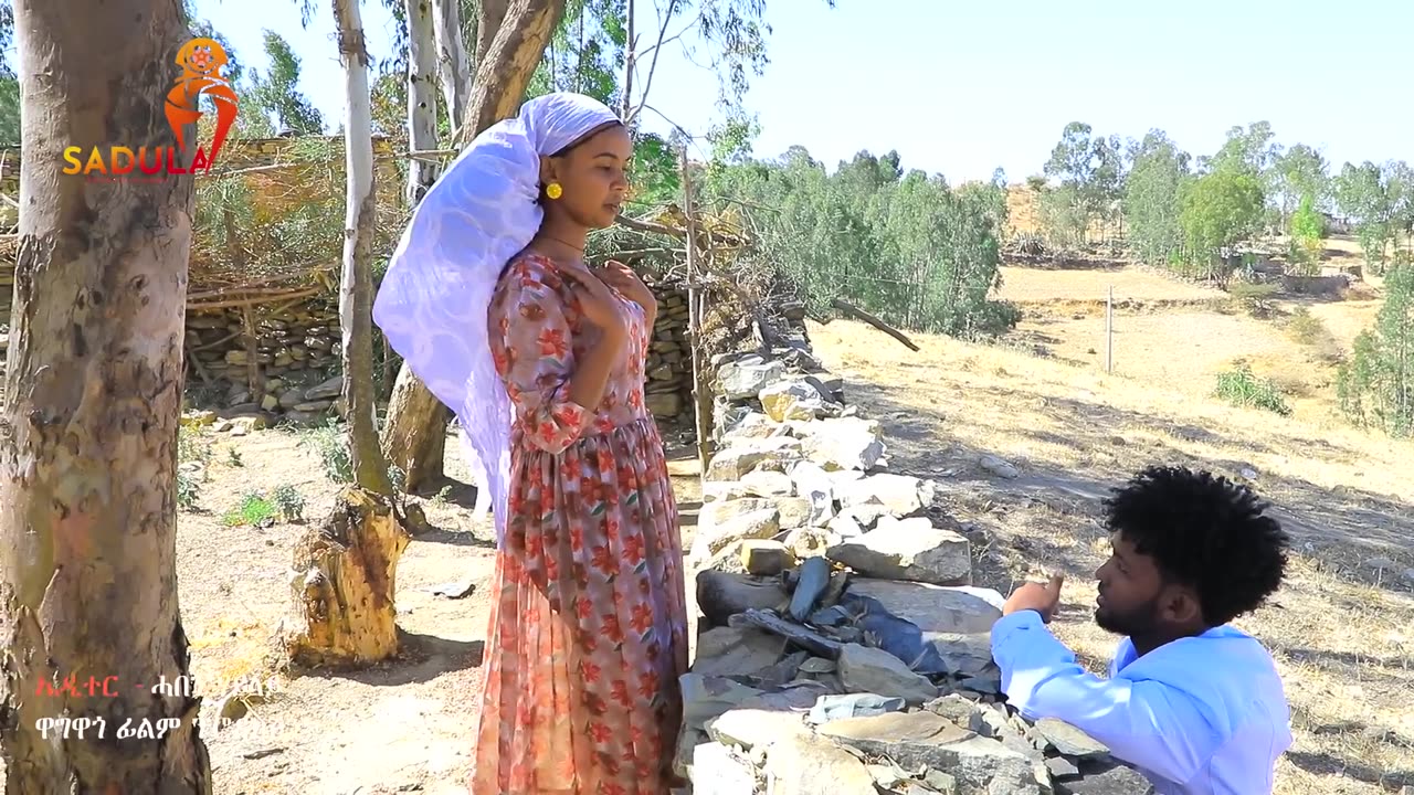 Haile Gebretsadik (nfararem) ሃይለ ገ_ፃዲቕ (ንፍራረም)