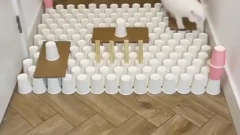 Cat crossing barrier beautifully