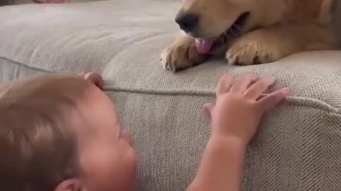 Baby Kisses Puppy!