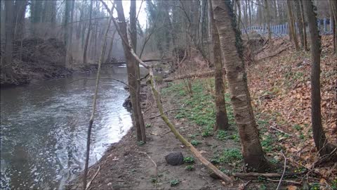Either an old bridge abutment or a dam on Knowlton and Fox Rd