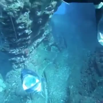 How to catch fish in the sea is amazing