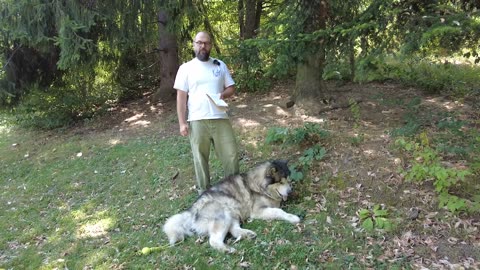 Политико- Оборудването от бълг. АЕЦ създава корупционни схеми в Киев