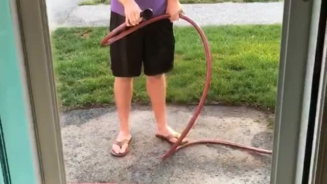 Boxer bites hose spray clear door
