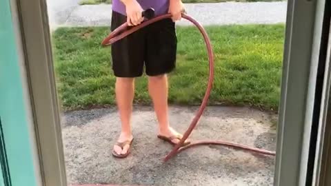 Boxer bites hose spray clear door