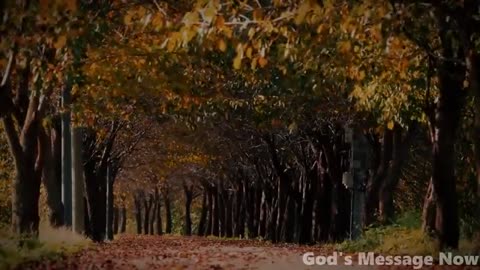 Everything Will Be Fine - Gods Message Today - God Blessings Message - Gods Message for Me Today