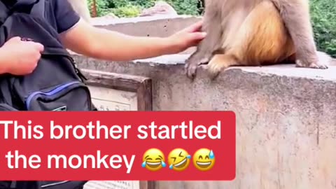 Funny video