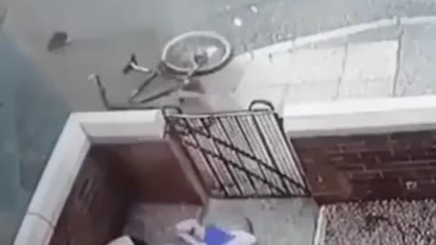 Just wanted to pet the dog