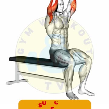 Tricep Workout #shorts #tricepsworkout #triceps #tricepsexercises