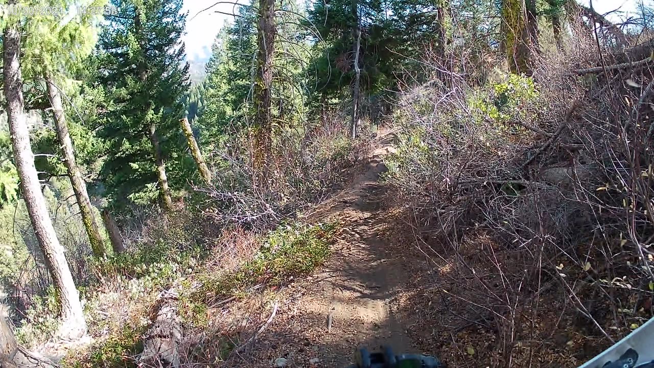 10-20-24 Idaho City Hungarian Ridge trail More sidehill and great views.