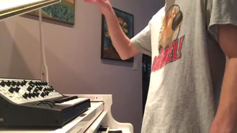 Caribbean Synth Improvisation