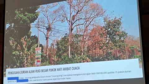 P05 Pembangunan Tanaman Durian, Mohd Ali Hanafiah, @Raub, 4 Jun 2024