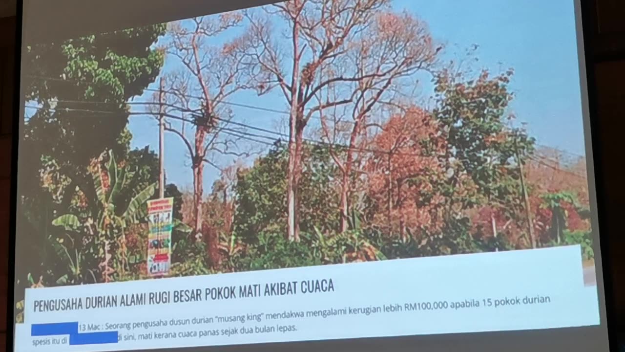 P05 Pembangunan Tanaman Durian, Mohd Ali Hanafiah, @Raub, 4 Jun 2024