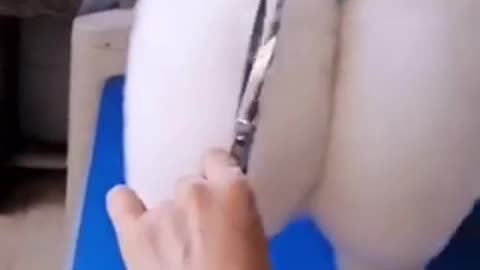 Sexy hip🤭🤭