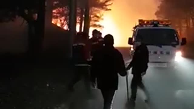 Korean forest fire