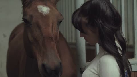 Young woman feeds her horse