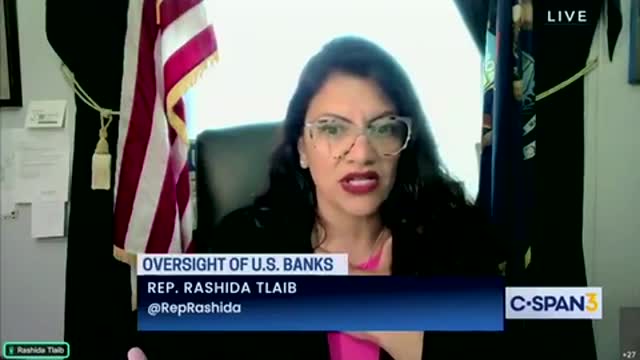 🔥 Rashida Tlaib Gets Unanimously Rejected by Bank CEO’s on Net Zero Goals