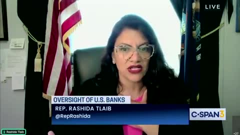 🔥 Rashida Tlaib Gets Unanimously Rejected by Bank CEO’s on Net Zero Goals