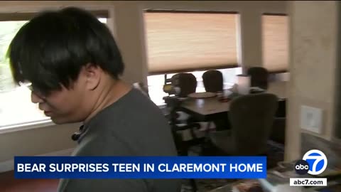 Large bear breaks into Claremont home while family is inside