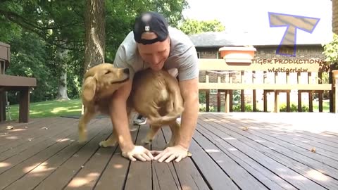 FUNNY DOG COMPILATION/TRY NOT TO LAUGH