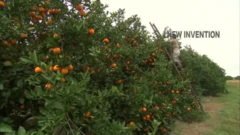 Amazing Agriculture Harvesting Machine - Latest Farming Technology