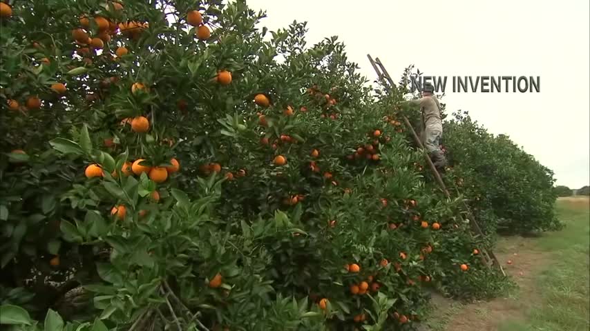 Amazing Agriculture Harvesting Machine - Latest Farming Technology
