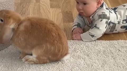 Baby Cries When Bunny Friend Turns Away