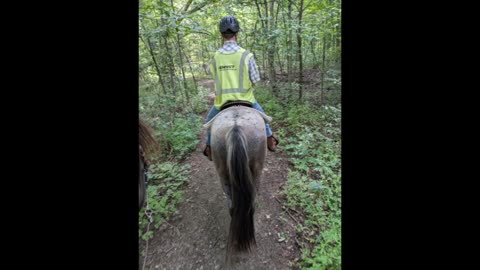 Steele & Avi - Waterloo trail ride - 23 Aug 2024