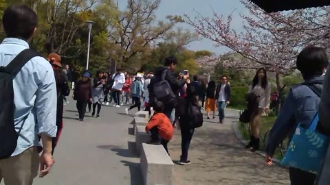 Osaka castle