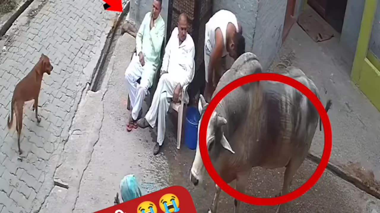 Death never comes with any warning!