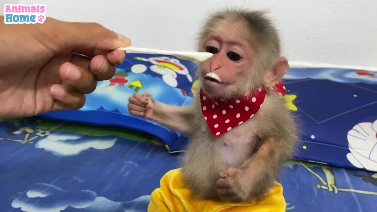 BiBi clean up toys after plays with Amee