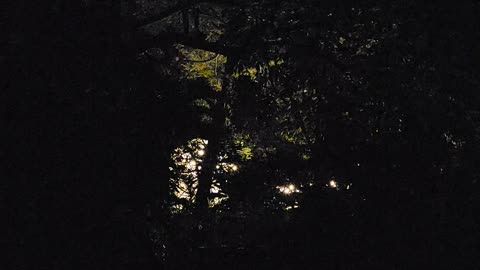 Night sound 'south side east'.