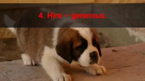 Japanes names of dog 2021 TOP 10