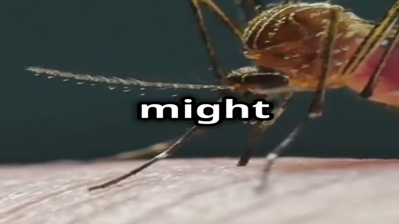 How Painful Is This, Mate? | Aussie Challenge Edition