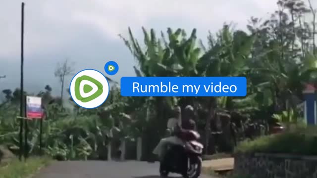 recklessly ride motorbikes with idiots