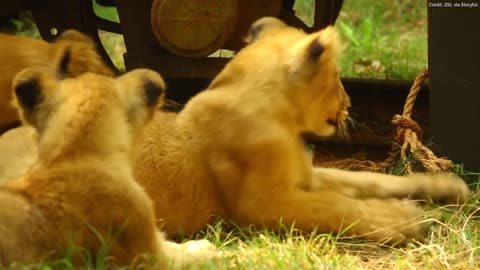 Zoo welcomes almost 400 species to annual weigh-in