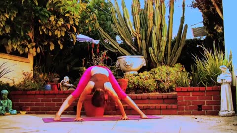 AK29 Power Yoga Complete Beginners Hatha Vinyasa Strength Weight Loss