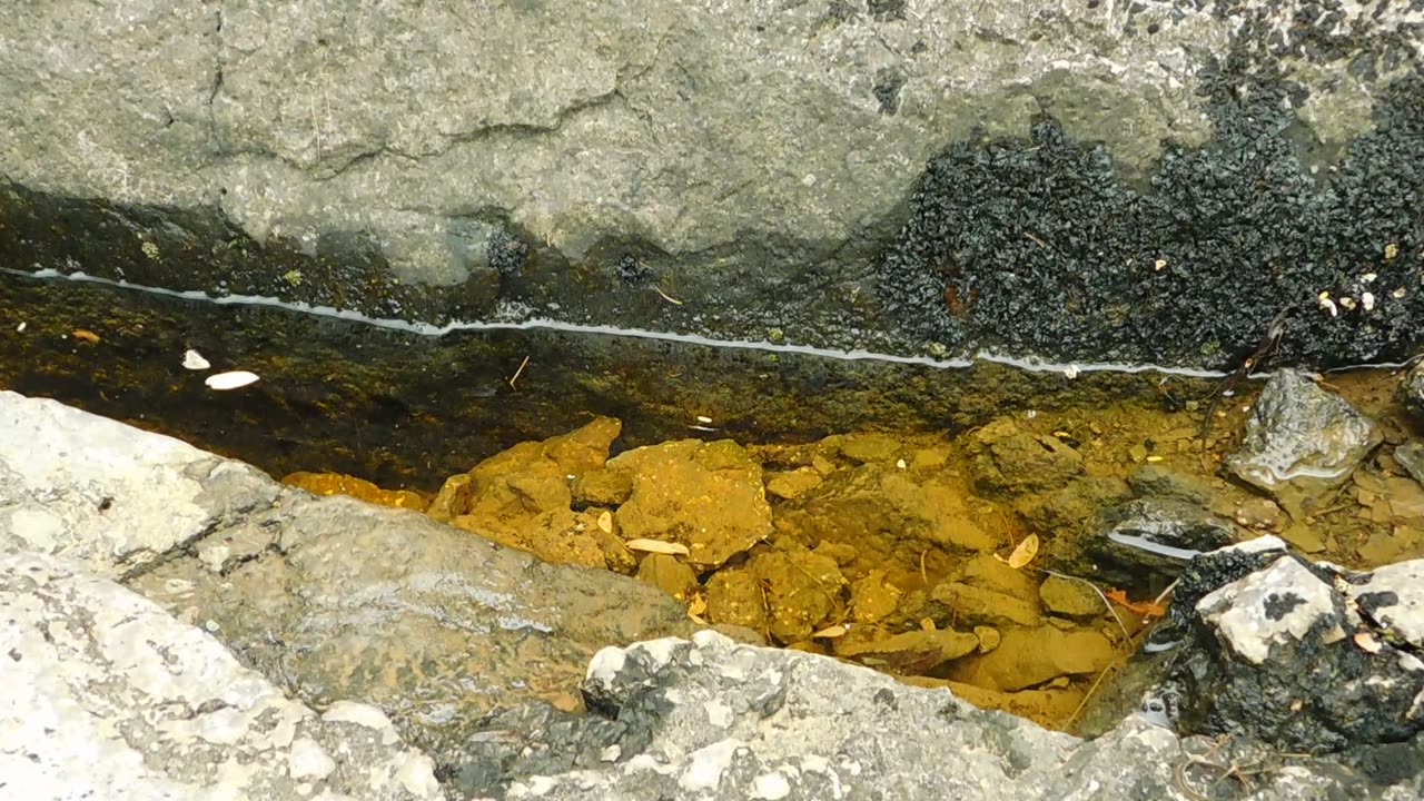 Residual Puddle - Water in the Desert