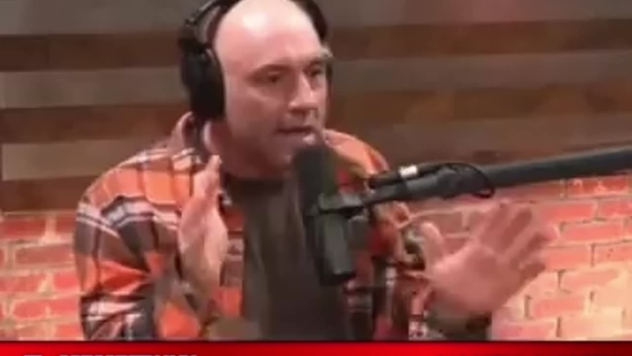 Joe Rogan Speaks on Seth Rich