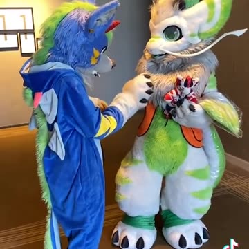 Random Kemono Fursuit Video #12