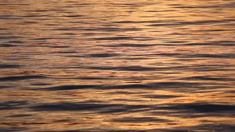 freenaturestock-golden-water-ripples