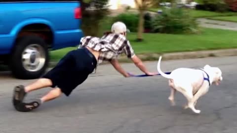 FUNNIEST PETS THAT WILL MAKE YOUR DAY😅..