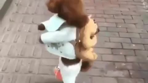 smart dog in action