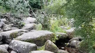 River Dart. Dartmoor. Dartmeat.